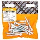 Coach Screw Galv Mild 6X50Mm, Quantity: 16