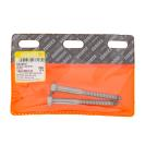 Coach Screw St/St 10X100Mm, Quantity: 2