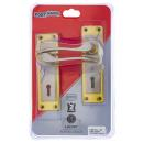 Two Lever Lock Set, #6 Fire-Star, Satin Nickel and Brass Plated