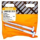 [1CE80U] Coach Screw Galv Mild 10X100Mm, Quantity: 2